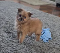 processed/a393df44-b837-487a-8c0a-1df4d77247e6/listing/5d315ce5-1bc8-492b-a6df-dba1342c7b5f/c0406f43-39c3-4029-8829-ccd82af3744f