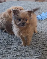 processed/a393df44-b837-487a-8c0a-1df4d77247e6/listing/5d315ce5-1bc8-492b-a6df-dba1342c7b5f/f74c775d-91db-4d84-b798-b6625e0c92ae