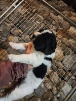 processed/a3a5e46f-99b9-4c86-9dac-e48b56a4f96c/listing/41499242-3ad3-45a2-ae6f-ace40fc79445/aaaf6884-4279-48cb-bbd7-82fb6f30989c