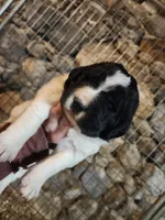 processed/a3a5e46f-99b9-4c86-9dac-e48b56a4f96c/listing/41499242-3ad3-45a2-ae6f-ace40fc79445/ea233cb8-82cc-4e6f-bf8e-a47959275179