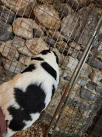 processed/a3a5e46f-99b9-4c86-9dac-e48b56a4f96c/listing/41499242-3ad3-45a2-ae6f-ace40fc79445/ed04e59b-8351-4826-af59-a9d19e9fde21