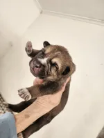 processed/a3a5e46f-99b9-4c86-9dac-e48b56a4f96c/listing/782b1f33-2c6c-4801-8af5-c1bfa6d43f14/0c0cd721-8f1c-45d6-bbd9-b4dd8350545f