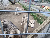 processed/a3a5e46f-99b9-4c86-9dac-e48b56a4f96c/listing/bf00296f-8852-40d9-a411-64a8d4cb3a28/bf00296f-8852-40d9-a411-64a8d4cb3a28/eee745d9-70cd-47e6-be08-0ed3f2cb3d7d