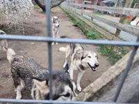 processed/a3a5e46f-99b9-4c86-9dac-e48b56a4f96c/listing/bf00296f-8852-40d9-a411-64a8d4cb3a28/d383c810-d34c-43e7-b91e-bae0983a149d