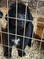 processed/a3a5e46f-99b9-4c86-9dac-e48b56a4f96c/listing/c74a8c36-8b3e-4673-8a10-8fe0665084a7/18eb09b9-7379-49dd-9c9d-1198927ffa0c