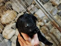 processed/a3a5e46f-99b9-4c86-9dac-e48b56a4f96c/listing/c74a8c36-8b3e-4673-8a10-8fe0665084a7/4c42f938-1390-4c79-8864-9403bf3503c2