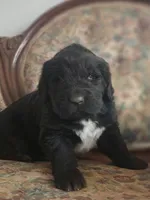 processed/a3a5e46f-99b9-4c86-9dac-e48b56a4f96c/listing/c74a8c36-8b3e-4673-8a10-8fe0665084a7/8d261f49-e656-4098-879c-9f42c4d79805