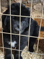 processed/a3a5e46f-99b9-4c86-9dac-e48b56a4f96c/listing/c74a8c36-8b3e-4673-8a10-8fe0665084a7/da7ed6d0-5b2f-476d-9a78-1b9024fdab70