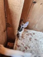 processed/a3a5e46f-99b9-4c86-9dac-e48b56a4f96c/listing/cc036899-ced4-4a75-a5ff-34d355daf4fc/12625dfd-8c73-45c0-8701-65c22595262e