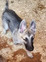 processed/a3a5e46f-99b9-4c86-9dac-e48b56a4f96c/listing/cc036899-ced4-4a75-a5ff-34d355daf4fc/bbfdba5d-b2b0-4be3-9fe4-6ca9a2660b5a