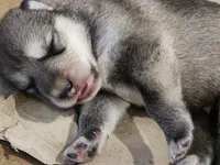 processed/a3a5e46f-99b9-4c86-9dac-e48b56a4f96c/listing/ddf85e3d-7979-44fa-937c-71b34ed26364/3c866c20-2999-4cf8-8f67-c81401d36e58