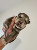 processed/a3a5e46f-99b9-4c86-9dac-e48b56a4f96c/listing/ddf85e3d-7979-44fa-937c-71b34ed26364/9b7df33f-5049-44db-be94-5d989ef43c00