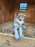 processed/a3a5e46f-99b9-4c86-9dac-e48b56a4f96c/listing/ddf85e3d-7979-44fa-937c-71b34ed26364/d2d553f9-09af-47da-8c1d-4c4b9ab4a938