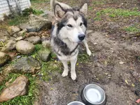 processed/a3a5e46f-99b9-4c86-9dac-e48b56a4f96c/listing/e6ecb717-5dde-4e65-a5d0-eac739d89555/79e7eb32-03c8-4434-888a-c9a7e0dbaa7d