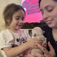 Kourtney fluffy big rope, a female French Bulldog for sale in Sebring, FL – Photo 8 of 9