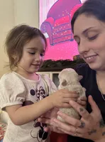 Kourtney fluffy big rope, a female French Bulldog for sale in Sebring, FL – Photo 9 of 10