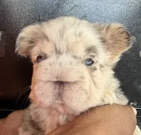 processed/a3a8b642-06f7-4ab0-a10d-e99df96716ad/listing/c5cf6e37-b24a-4454-b0d5-06b2c927750a/04c46b70-75e2-4a11-bb77-d64482806819