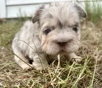 processed/a3a8b642-06f7-4ab0-a10d-e99df96716ad/listing/c5cf6e37-b24a-4454-b0d5-06b2c927750a/7dfe1bcd-7dfa-4dfd-9b42-72c93d15bd06