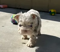 processed/a3a8b642-06f7-4ab0-a10d-e99df96716ad/listing/c5cf6e37-b24a-4454-b0d5-06b2c927750a/82f73b25-2aa0-4be1-b535-30e2798f9637