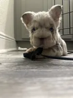 processed/a3a8b642-06f7-4ab0-a10d-e99df96716ad/listing/c5cf6e37-b24a-4454-b0d5-06b2c927750a/83285a9d-0103-417a-b136-c7d8db0894c9