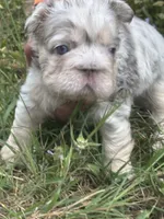 processed/a3a8b642-06f7-4ab0-a10d-e99df96716ad/listing/c5cf6e37-b24a-4454-b0d5-06b2c927750a/94614836-5f1d-42b3-bb72-3d13f4363558