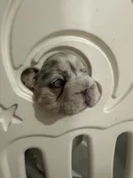 processed/a3a8b642-06f7-4ab0-a10d-e99df96716ad/listing/c5cf6e37-b24a-4454-b0d5-06b2c927750a/af7f1a02-39d5-4213-849f-3e990df6036b