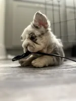 processed/a3a8b642-06f7-4ab0-a10d-e99df96716ad/listing/c5cf6e37-b24a-4454-b0d5-06b2c927750a/d755a6fb-df18-47fb-9efe-f8640646ad95