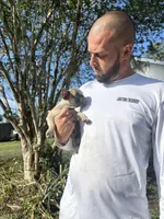 Kylie, a female French Bulldog for sale in Sebring, FL – Photo 2 of 10