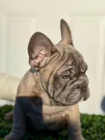 processed/a3c7b0f6-cee2-483b-a0b9-cca7725d93e0/listing/d138031a-6a7a-4259-bcb0-5c6ae4c20508/1efa7735-cf75-45ac-8eaf-094d774ce7ea