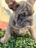 processed/a3c7b0f6-cee2-483b-a0b9-cca7725d93e0/listing/d138031a-6a7a-4259-bcb0-5c6ae4c20508/3c6fe48d-d49e-4e3f-9501-1e1524536ce2