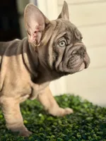 processed/a3c7b0f6-cee2-483b-a0b9-cca7725d93e0/listing/d138031a-6a7a-4259-bcb0-5c6ae4c20508/5aa2b871-136c-468f-82da-127730f8c0ee