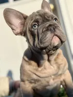 processed/a3c7b0f6-cee2-483b-a0b9-cca7725d93e0/listing/d138031a-6a7a-4259-bcb0-5c6ae4c20508/73116bc4-756d-4dcb-b500-d9d393361f03