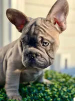 processed/a3c7b0f6-cee2-483b-a0b9-cca7725d93e0/listing/d138031a-6a7a-4259-bcb0-5c6ae4c20508/856a070c-dfce-494a-876b-ab881864cb36