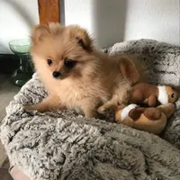 processed/a3dd26e4-52af-4994-9358-e467b9c13d71/facility/9063c0ef-35a5-4f42-a2e8-d1263b8bc4e2