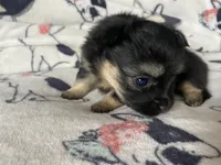 processed/a3dd26e4-52af-4994-9358-e467b9c13d71/listing/33c9cf90-26ed-4dfd-a6e3-ed7187fe0f82/7c6e565e-2643-40ef-a868-2487ffba20d5