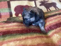 processed/a3dd26e4-52af-4994-9358-e467b9c13d71/listing/47f79a38-bf0a-4fd7-9ad6-7b171bc6bde6/18e73313-ae11-481f-8934-6bd711b97b91