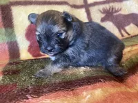 processed/a3dd26e4-52af-4994-9358-e467b9c13d71/listing/47f79a38-bf0a-4fd7-9ad6-7b171bc6bde6/5b79df7c-25c7-42a6-92de-8480eb816af4