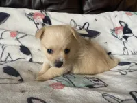 processed/a3dd26e4-52af-4994-9358-e467b9c13d71/listing/9288b538-8a69-4deb-8b98-3c54378d8a8c/54b248eb-6a75-4543-ae1f-d5d8246c29da