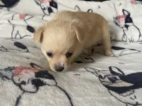 processed/a3dd26e4-52af-4994-9358-e467b9c13d71/listing/9288b538-8a69-4deb-8b98-3c54378d8a8c/a717ca53-060c-4290-9b77-86f09b4c86e5