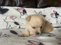 processed/a3dd26e4-52af-4994-9358-e467b9c13d71/listing/9288b538-8a69-4deb-8b98-3c54378d8a8c/ccf5f0e8-8368-4e17-a09e-785605fc506a