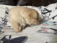 processed/a3dd26e4-52af-4994-9358-e467b9c13d71/listing/9288b538-8a69-4deb-8b98-3c54378d8a8c/f61001f2-b49e-4561-a1b7-542018ec9f55