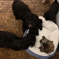 processed/a3df41e8-3b97-47ff-8725-28d8aaf3f36c/facility/2bd523e3-f54b-47e1-81fe-b08a64043f6f