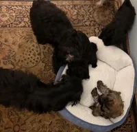 processed/a3df41e8-3b97-47ff-8725-28d8aaf3f36c/facility/2bd523e3-f54b-47e1-81fe-b08a64043f6f