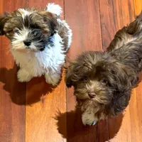 processed/a3df41e8-3b97-47ff-8725-28d8aaf3f36c/facility/45fddd46-ae86-471b-acc6-41ee92b0f433