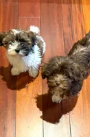 processed/a3df41e8-3b97-47ff-8725-28d8aaf3f36c/facility/45fddd46-ae86-471b-acc6-41ee92b0f433