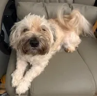 processed/a3df41e8-3b97-47ff-8725-28d8aaf3f36c/facility/b7d455d2-8768-44bf-9726-a2bb9cdfd11c