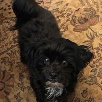 processed/a3df41e8-3b97-47ff-8725-28d8aaf3f36c/facility/e0cca14a-2105-4215-8568-e282d1cd95c4