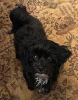 processed/a3df41e8-3b97-47ff-8725-28d8aaf3f36c/facility/e0cca14a-2105-4215-8568-e282d1cd95c4