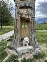 Melo, a male Bichon Frise for sale in Sandy, UT – 9 of 10