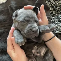 processed/a3eb0d7f-b4ea-470c-b483-df08128e6197/facility/687cd8fb-6348-4186-bf0d-f7574204520d